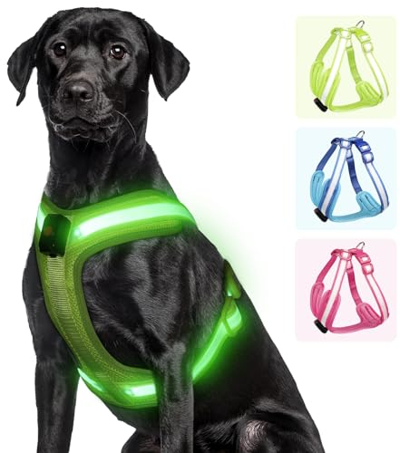 PZRLit Hundegeschirr Leuchtend, Leuchtgeschirr für Hunde Aufladbar, Leuchtendes Hundegeschirr LED, Leucht Geschirr für Hunde Reflektierend mit Licht Sicherheit im Dunkeln-Grün, Groß