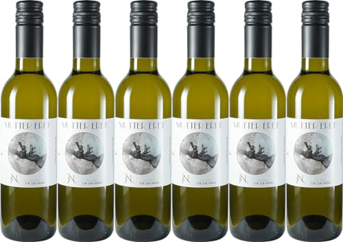 Tor zur Sonne Mutter Erde 2020 Trocken Bio (6 x 0.375 l)