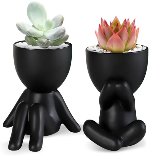 GOMETY 2 plantas suculentas artificiales, plantas artificiales con negro, maceta de cerámica pequeñas plantas artificiales, macetas de cerámica modernas, mini planta artificial para baño, esthetic