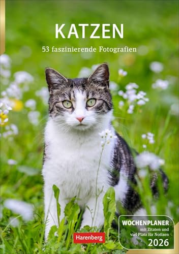 Katzen - Wochenplaner 2026 - Harenberg-Verlag - 53 Blatt mit Zitaten, Platz für Notizen und süßen Katzenfotos - Wandkalender - 25 cm x 35,5 cm