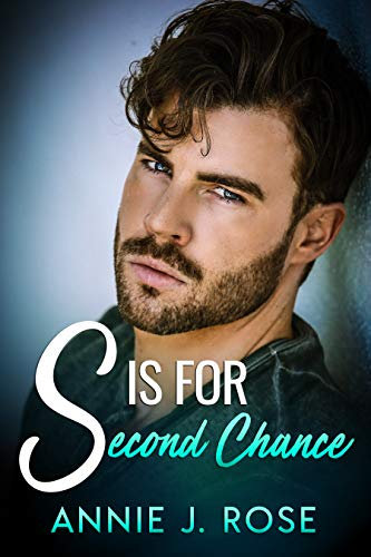 S is for Second Chance (Office Secrets Book 2) (English Edition)