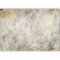 murando - Papier peint panoramique nature 400x280 cm - Revêtement mural décoration pour chambre salon - Design unique et moderne - Jaune gris marron - Fleurs nature ancien contexte b-C-0803-a-a