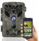 Suntek Wildkamera WLAN Bluetooth 36MP 4K mit App Jagdkamera Handyübertragung Nachtsicht