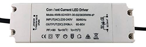 Lampenlux LED Driver Trafo 65-80V 300mA Constant Current regelbar