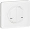 Interrupteur Double Filaire Connecté 2x250w pour Installation Connectée Céliane with Netatmo (Compatible Toute Charge) - Complet (Support, Enjoliveur et Plaque) - Finition Blanc - 199168 - Legrand