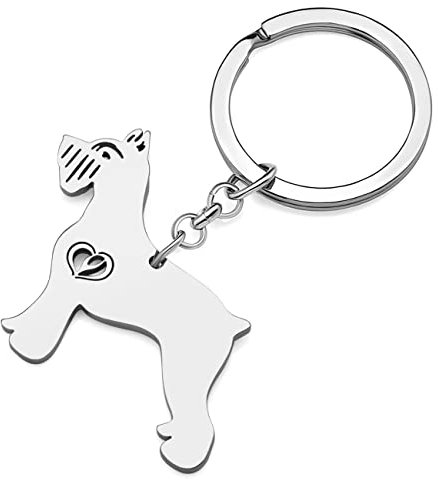RAIDIN Edelstahl 18K Gold Silber Plattiert Süße Schlüsselanhänger Hund Schlüsselring für Damen Mädchen Geschenke Auto Geldbeutel Schlüssel Zubehör (Silber-087 Schnauzer)