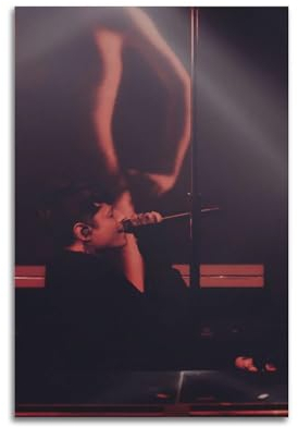 Terp Noah Sebastian Poster, Wandkunst, Poster, Geschenk für Freunde, Schlafzimmer, Wohnzimmer, Dekoration, modern, ästhetisch, ungerahmt, 40 x 60 cm