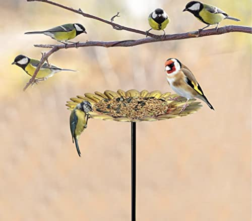 ADEPTNA Garden Ornament Bird Feeder Cast Iron Wild Dish Seed Dish Bath – Attracts a Wide Variety of Birds (SUNFLOWER)