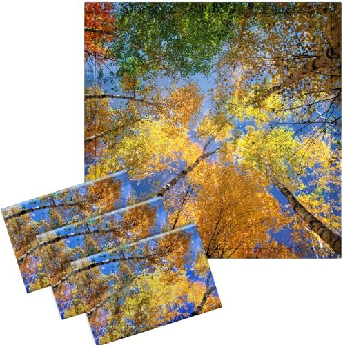 VIHOSE 4 Pcs 2 x Feet Fluorescent Light Covers for Ceiling Lights Classroom Reducing Harsh Glare Flicker Magnetic Filters Office Home Drop (Trees) (ANB-VIHOSE-17441)