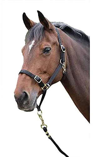 Shires Control Halfter, Schwarz, full, 0