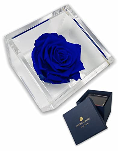 Passionefiori.it S 1011 Luxury Rose Stabilizzate Vere in Cubo più Spesso Luxury 8cm e Scatola Regalo Lusso, Cubo Rosa stabilizzata Blu, Rosa eterna