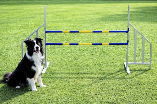 vabiono Agility ALU-Hürde für Hunde Profi-Training-Set FCI konform - Agilität Fitness für Ihren Hund - Hundesport