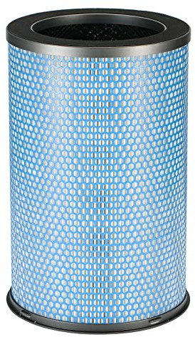 Airthereal H13 HEPA Ersatz-Luftfilter medizinischer Qualität für Glory Days AGH430 Luftreiniger (1 Stück)