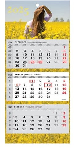 JAROGRAF Wandkalender 2026 – 3-Monats-Kalender mit praktischem Wandplaner für effiziente Jahresplanung, Feiertage, Schulferien und wichtige Termine (Frau) Dreimonatskalender
