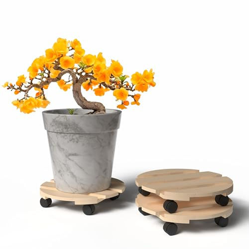 BigDean 3 Pflanzenroller Holz Rund 30 cm 120 Kg belastbar Rolluntersetzer