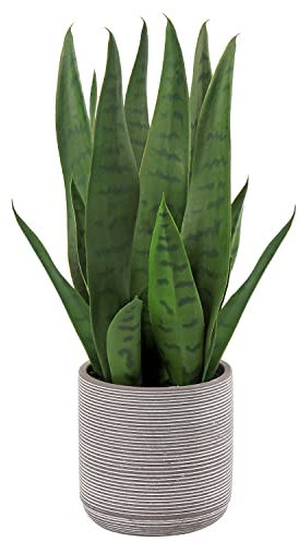 Briful - Pianta artificiale Sansevieria, altezza 40 cm, in vaso di cemento