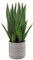 Briful Kunstpflanze Sanseveria Künstliche Zimmerpflanze Deko-Pflanze, Höhe 40 cm, im Zementtopf