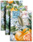 Maison d' Hermine Lot de 3 torchons de Cuisine 100% Coton pour Nettoyage de Vaisselle, Salle à Manger, Maison, Mariage, Banquet, Buffet, Printemps/été (50 cm x 70 cm)