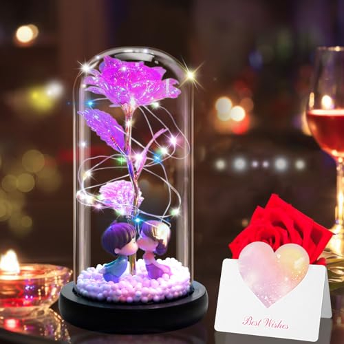 EDATOFLY Rosa Eterna Bella e la Bestia in Vetro con LED Luci - Ideale Regalo San Valentino, Anniversario, Festa della Mamma, o Regali di Natale per Donne - Galaxy Rose per Lei (Rosa)