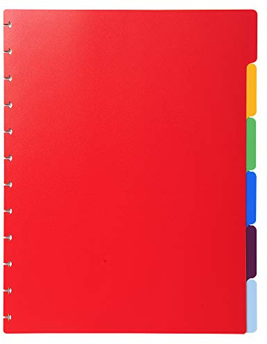Exacompta - Réf. 86002E - Intercalaires en polypro rigide multicolores pour protège-documents amovible à anneaux - 6 onglets neutres - pour format A4 maxi - dimensions 24 x 30,5 cm