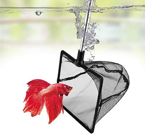 DaToo 5 Inch Aquarium Fish Net for Betta Fish Tank Nano Nylon Net with Extendable Handle 10-25 Inch, 1 Yr Warranty