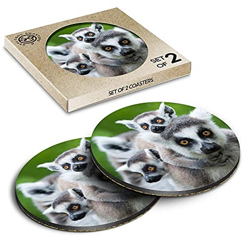 2 x Eco Boxed Cork Untersetzer – Ring Tailed Lemur Wild Drink Cup Mug Glass Table Mat #12666