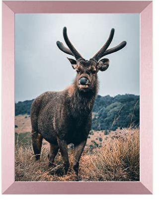 Rahmendesign24 Posterrahmen Milano 50x70 Roségold Fotorahmen, Wechselrahmen, Bilderrahmen, Puzzlerahmen