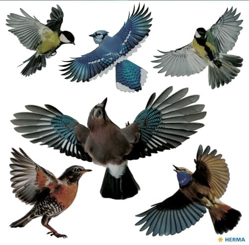 HERMA 15539 Warnvögel Vogel Aufkleber Set für Fensterscheiben groß, 30 Stück, 30 x 30 cm, selbstklebend, ablösbar und wiederverwendbar, Vogelschutz für Fenster aus wetterfester Hart-Folie, bunt