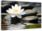 ZXHYWYM Zen Leinwandbilder Stein Lotusblume Bild Drucke Seerose Natur Spa Gemälde Badezimmer Kunstwerk für Meditation spirituelle Raumdekoration (Bild-2, (40.00 x 60.00 cms))