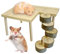 WIYETY Holzhamster Kletterplattform, Hamster-Holzplattform, Hamster Leiter, Hamster Spielzeug, Hamster Plattform, für Hamster, Golden Bear, Rennmäuse, Zwerghamster - Runde Leiter