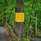 3 Stück Leimringe Selbstklebend 25CM*2M Obstbaum Leimringe für Apfelbaum Obstgarten Baum Schutz Leimringe