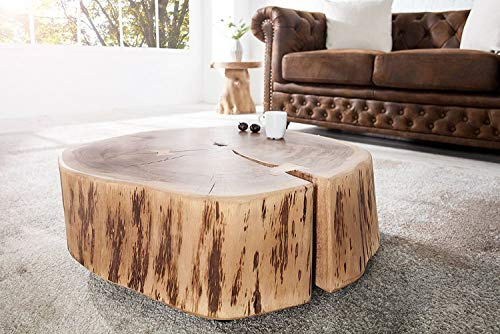 Licht-Erlebnisse Außergewöhnlicher Beistelltisch THELA massiver Baumstamm 60 x 25 x 55 cm Unikat Wohnzimmertisch Holz