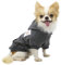 Lophipets Hunde-Kapuzenpullover Hundejacke Hundekleidung aus Baumwolle, für kleine Hunde, Chihuahua, Welpen, für kaltes Wetter, Anthrazit/S