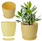 KADAX Pot de Fleurs 25 cm en Plastique avec Soucoupe et Finition Mate Élégante, Cache-Pot pour Une Décoration Intérieure Raffinée et Moderne (Jaune)