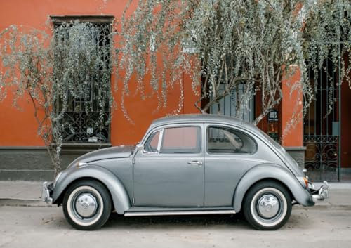 CALVENDO Poster 59,4 x 42,0 cm Querformat Volkswagen Käfer Standard| Bilder, Kunstdruck, Wandbild, Wanddeko, Prints ohne Rahmen