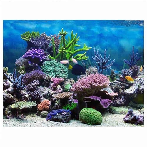 Póster de Acuario, Adhesivo de PVC, Cartel de Fondo para Acuario (61x41 cm) | Coral submarino, póster fondo, Fondo resistente al agua, HD multicolor y fácil de limpiar para decorar tu acuario