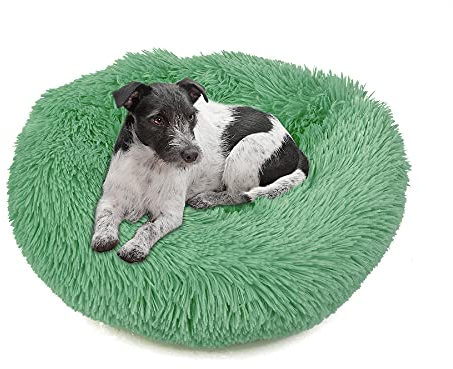 wuuhoo® Hundebett Fluffy 50cm Donut für kleine und mittelgroße Hunde - weiches Haustierbett, waschbares Hundekörbchen für Hund oder Katze, Flauschiger Hundekorb grün