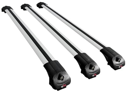 RE&AR Tuning Kompatibel mit Toyota Hilux 7 (AN30) 2005-2015 ACE-1 Relingträger Dachträger Auto Gepäckträger Grau Aluminium 3 Stangen