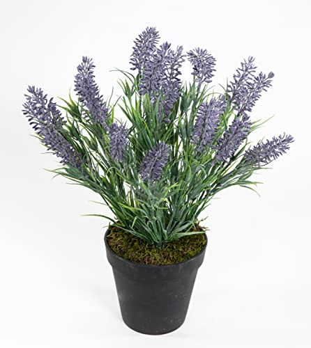 Seidenblumen Roß Künstlicher Lavendelbusch/Lavendel 34cm im Topf FI Kunstpflanzen Kunstblumen Blumen Pflanzen