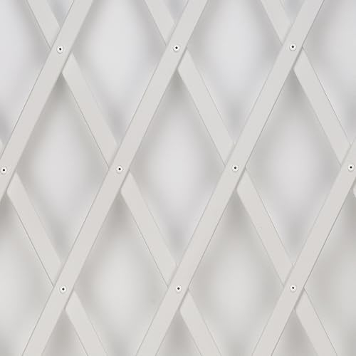TENAX Treplas 100x200 cm Blanc, Treillis Extensible Décoratif en PVC pour Soutenir Les Fleurs et Les Plantes Grimpantes, pour Décorer Les Murs et pour Créer des Séparateurs sur Les Balcons