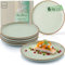 Sänger Rio Minze | Teller Set 6 Personen, 6x Speiseteller Set aus Steingut, Dinner Set kratz- mikrowellen- spülmaschinenfest, Steingut Teller Essteller mintgrün| VALUE COLLECTION