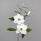 Seidenblumen Roß Magnolienzweig 82cm weiß DP Kunstblumen künstliche Blumen Magnolie Magnolia