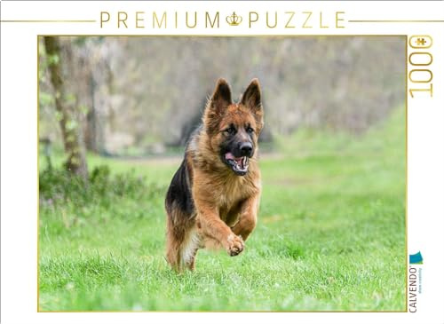 CALVENDO Puzzle Schäferhündin | 1000 Teile Lege-Größe 64 x 48 cm Foto-Puzzle für glückliche Stunden