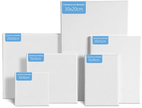 6 Pièces Toile Peinture, Tableau Peinture Fabriqué en 100% lin, Toiles Blanche Vierges de Différentes Tailles pour Débutants, Étudiants, Artistes pour Peindre, Dessiner