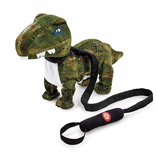 Pitter Patter Pets Dance With Me Dinosaur Electronic Pet For Children From 3 Years Dinosaur Toys Walking Dinosaurs Dancing Toy Live Animals Kids Toy