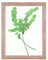 Rahmendesign24 Milano - Marco de fotos doble de cristal (30 x 40 cm, roble Sonoma)