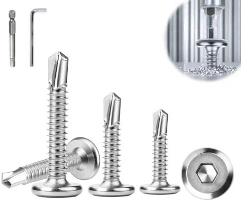 Hexizexi 100 St. Selbstschneidende Schrauben 410 Edelstahl 5.5x19mm Silber | Flachkopf Innensechskantschrauben Blechschrauben Selbstschneidend Bohrschrauben mit Innensechskantbohrer Inbusschlüssel
