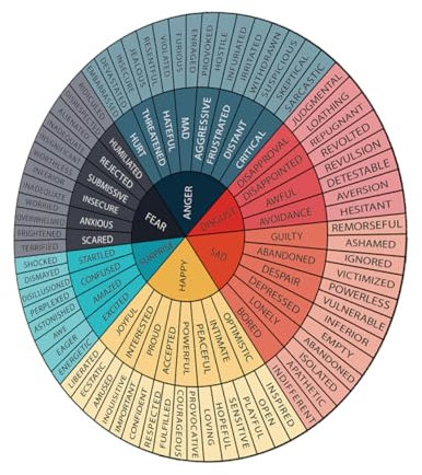 DIYEAH Feelings Wheel Sticker Selbstklebende Vinyl Emotionen Für Büro Schule Und Zuhause Inspirierende Wanddekoration Zur Emotionaler Und Bewusstsein