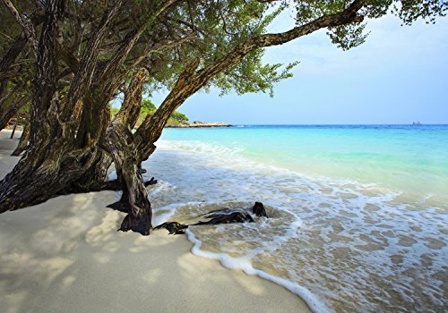 wandmotiv24 Fototapete Ruhiger und friedlicher Strand Provinz Rayong, XL 350 x 245 cm - 7 Teile, Wanddeko, Wandbild, Wandtapete, Meer, Himmel, Entspannung M0899