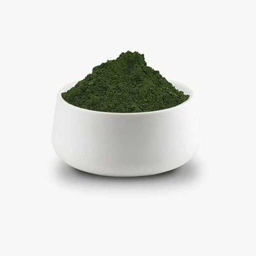 Chromowa ZC Poudre de pigment pour béton, plâtre, béton pétré, vert foncé, 1 kg